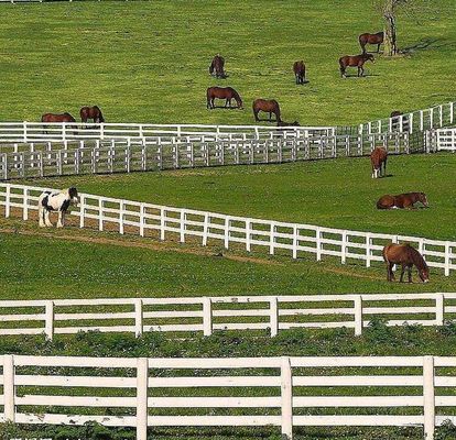 Anti Climb Welded Wire Mesh Fence No Rot 4 Rails Post And Rail White Pvc For Horse Farm