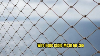 The application of stainless steel 316 zoo bird aviary mesh 