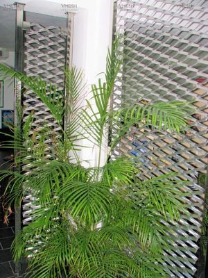 Galvanized Diamond Pattern Expanded Metal Screen for Decorative Mesh