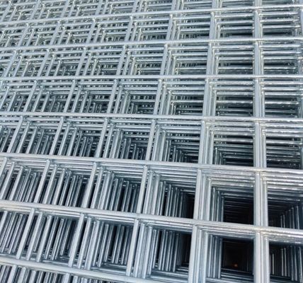 2x2 Galvanized Welded Wire Mesh Panel for Animal Cages