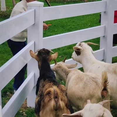 2 Rails Plastic Horse Field Fencing Equine Safety Fence Paddock Plastic Rail Fence