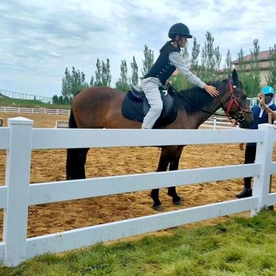 White 3rails PVC Horse Fence Stable Plastic Horse Field Fencing
