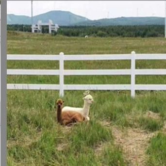White Plastic Rail Fence Vinyl Fence 3 Rails 4 Rails Horse PVC Farm Fence