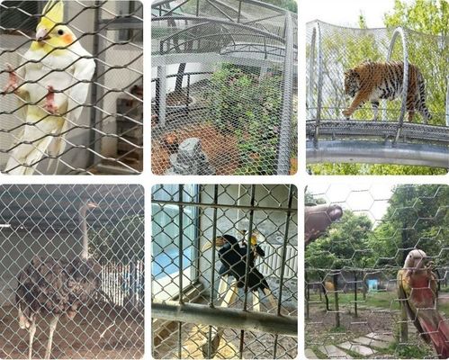 304 Stainless Steel Cable Mesh Black Oxidation for Zoo Aviary