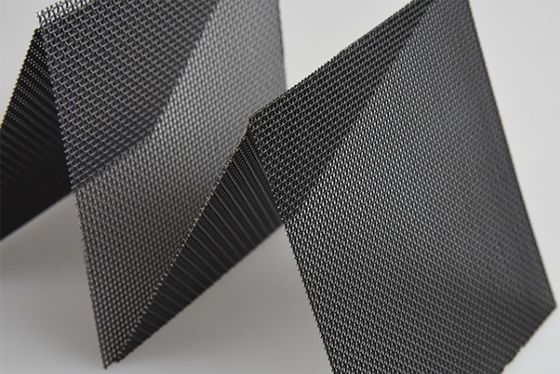Standard Black Powder Coated Marine Stainless Steel Security Door Screen