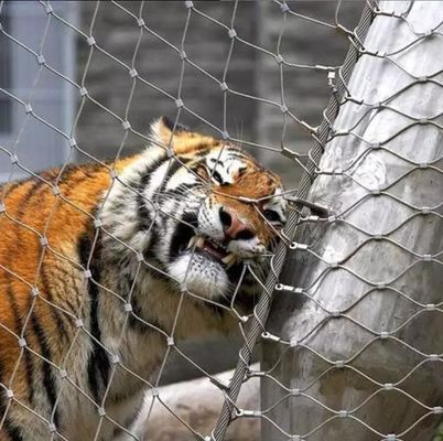 Lightweight High Strength 304 316 Stainless Steel Wire Rope Mesh For Zoo Fence