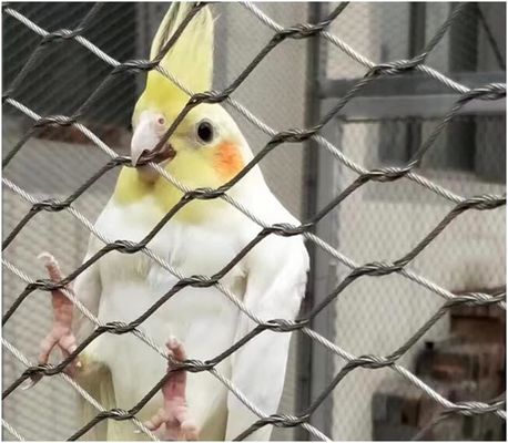 UV Resistant Stainless Steel Wire Rope Mesh with Long Lifespan and Non-Toxic Properties for Zoo Fence and Bird Aviary