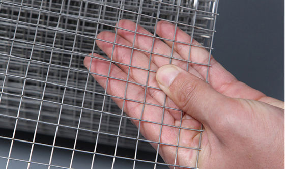 25x25mm Galvanized Welded Wire Mesh Panels for Decorative Fencing
