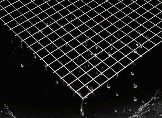 25x25mm Galvanized Welded Wire Mesh Panels for Decorative Fencing
