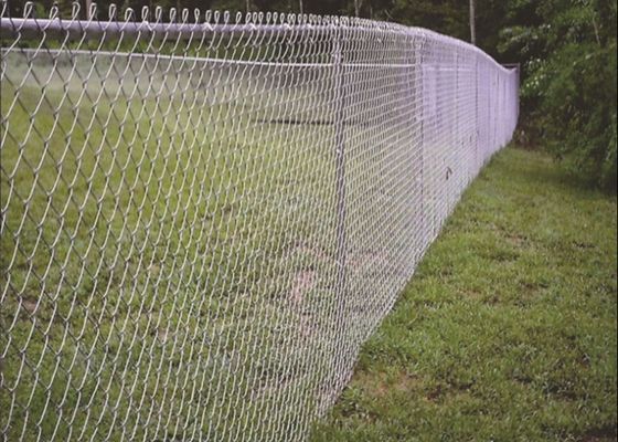 Hot Dip Galvanized Chain Link Fence 6ft 8ft 30m 50m Roll
