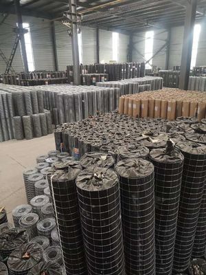 Galvanized Welded Wire Mesh Rolls 0.5mm for Fence and Cages