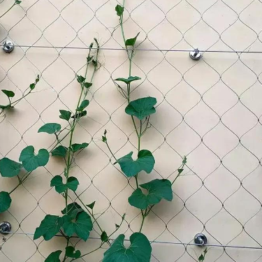SS304/316 Stainless Steel Rope Mesh Diamond Woven Knotted Cable Mesh for Green Wall and Garden Trellis