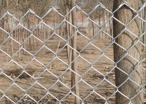 6 Ft X 50 Ft 4.8mm Galvanized Chain Link Fence Diamond Hole