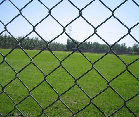 3mm 12 Gauge Chain Link Fence Pvc Coated Green 6x50
